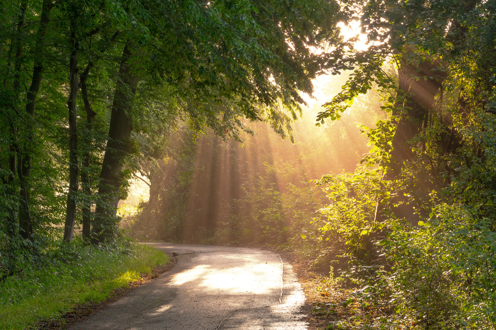 Sonnenstrahlen.