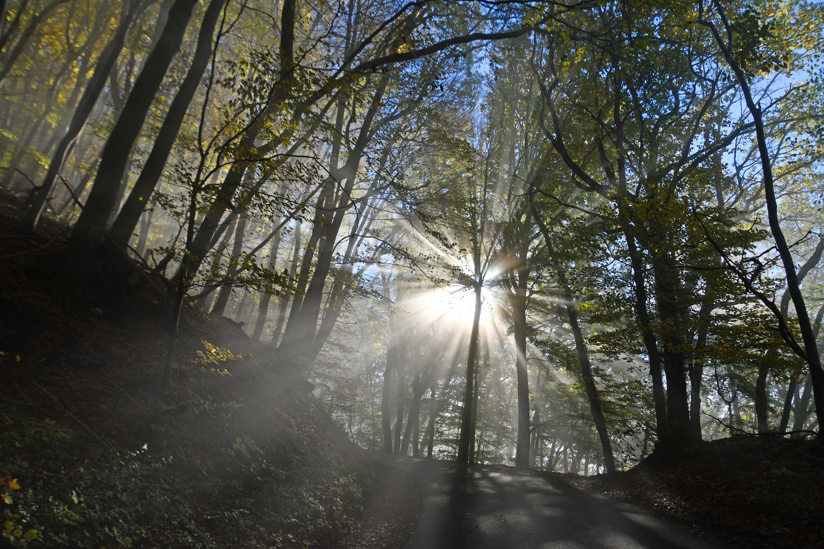 Sonnenstrahlen