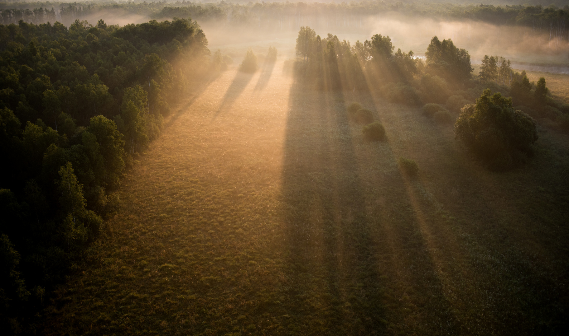 Sonnenstrahlen (2)