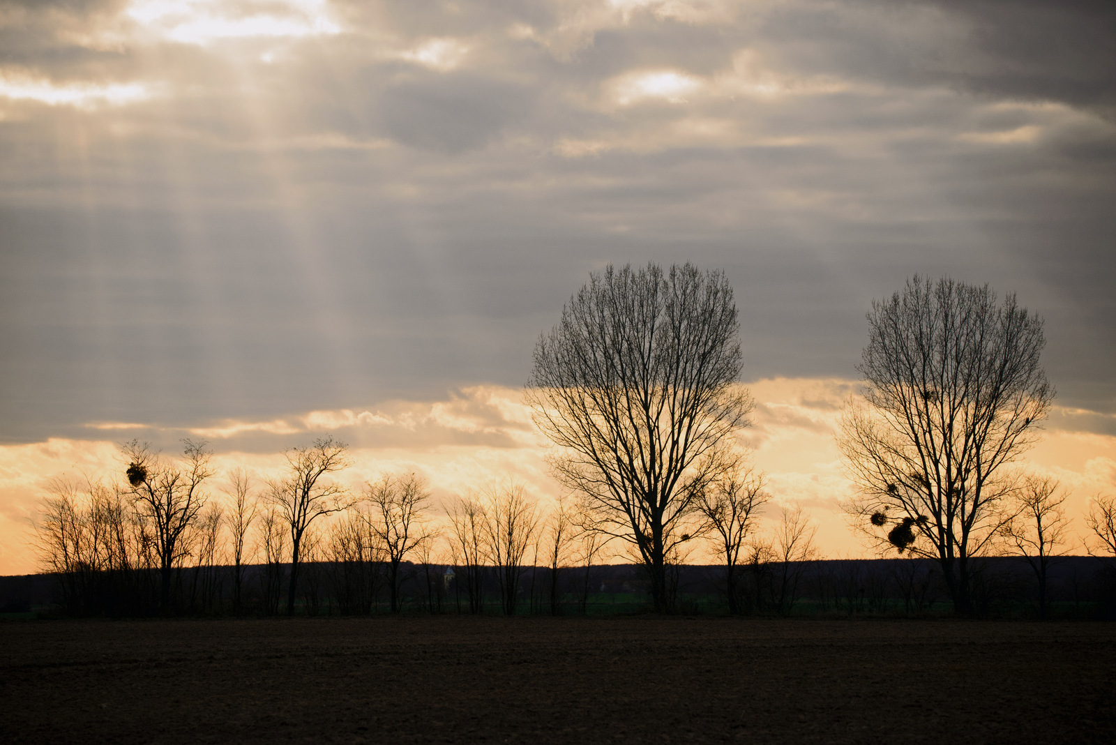 Sonnenstrahlen.