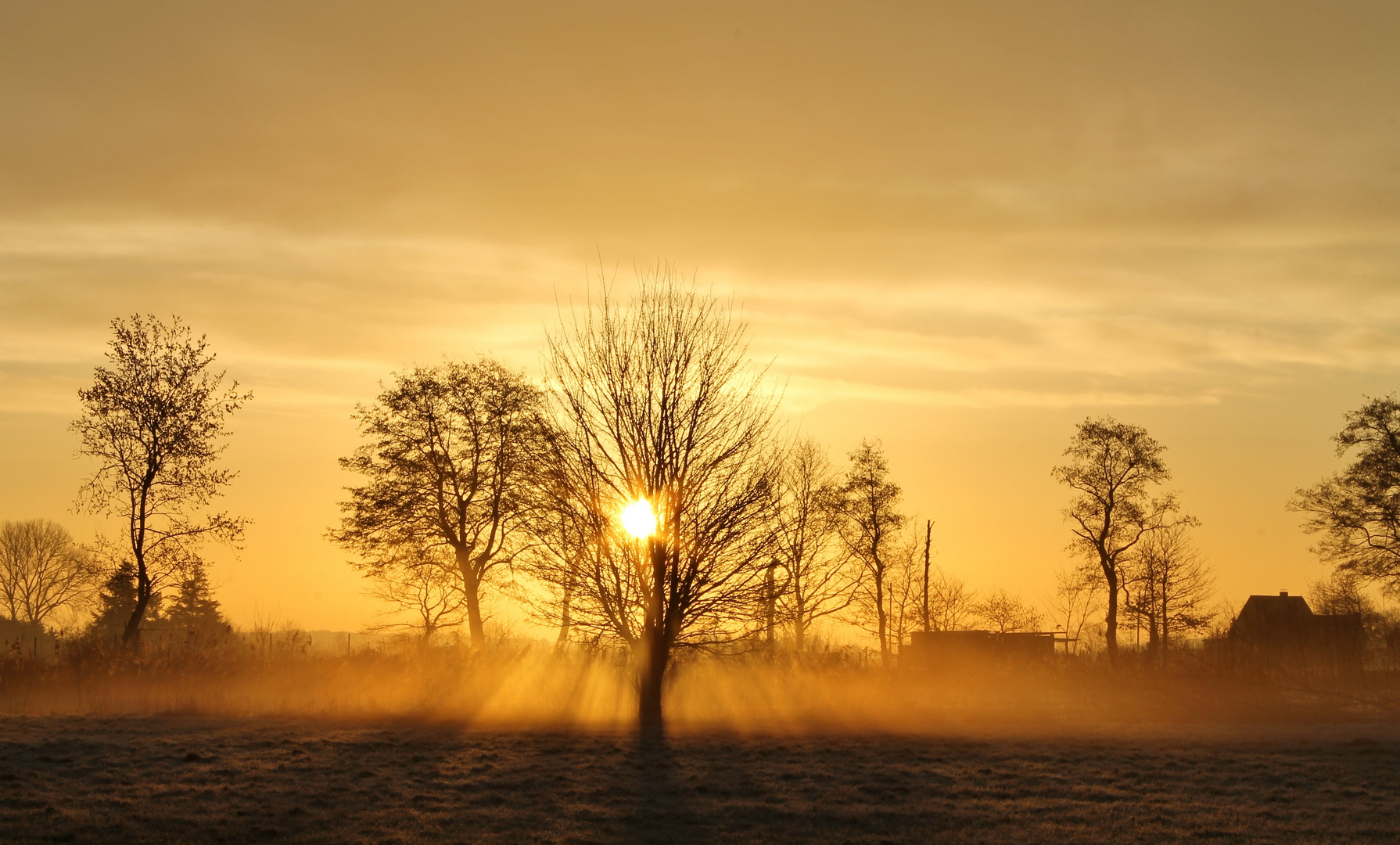 Sonnenstrahlen