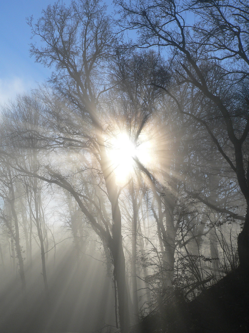 Sonnenstrahlen