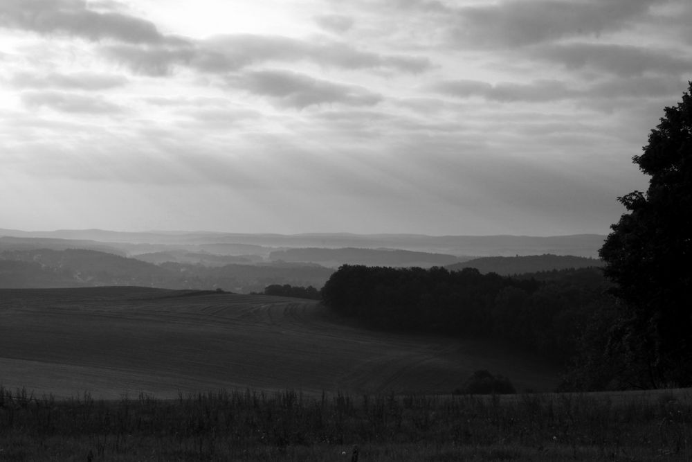 Sonnenstrahlen....