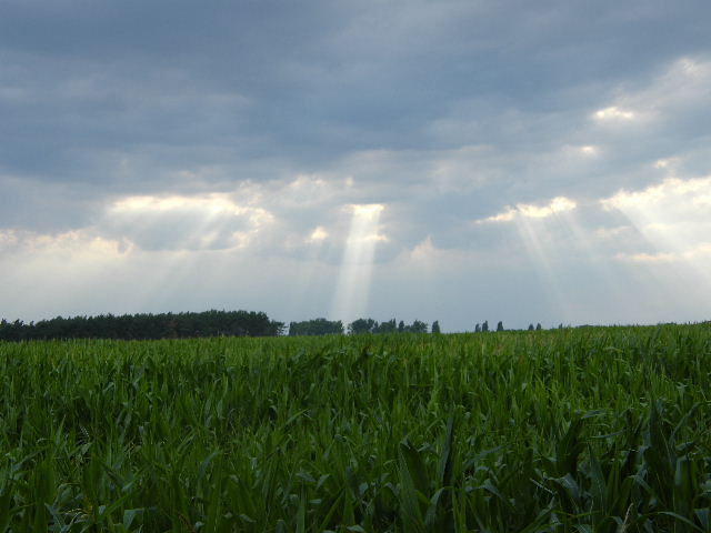 Sonnenstrahlen