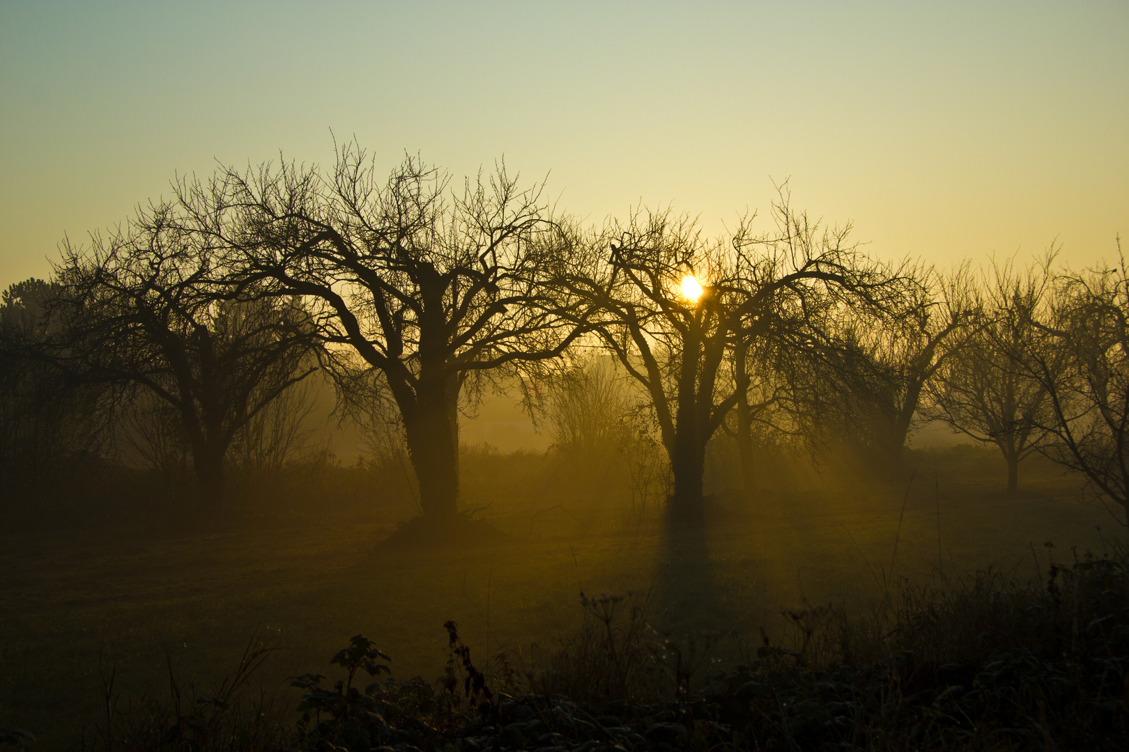 Sonnenstrahlen