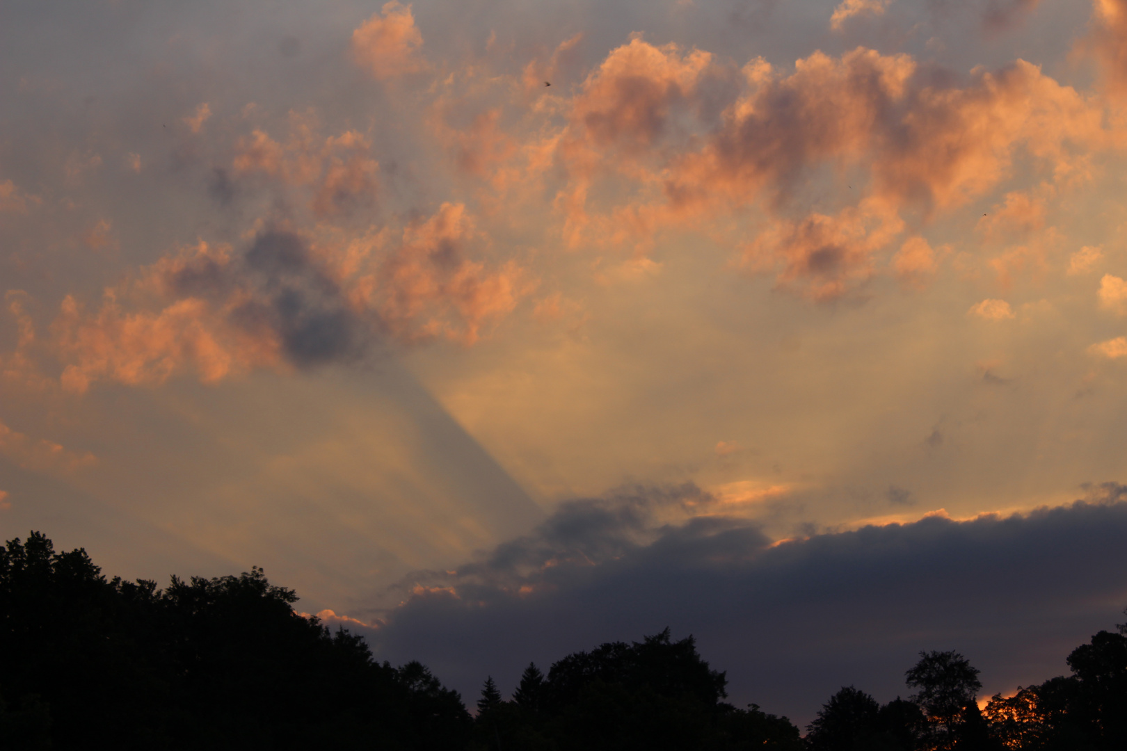 Sonnenstrahlen am Abend