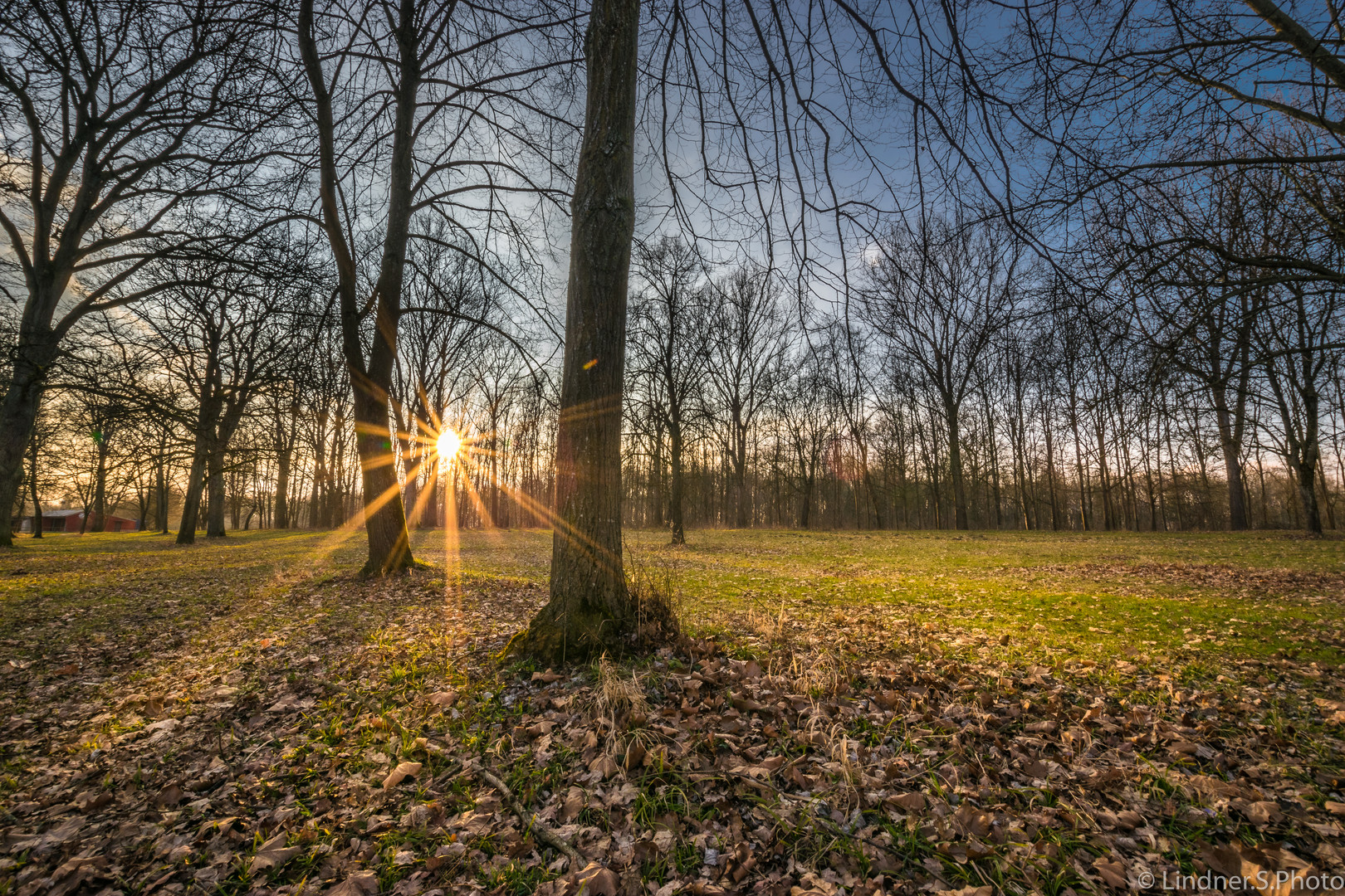 Sonnenstrahlen am Baggersee