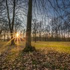 Sonnenstrahlen am Baggersee