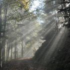 Sonnenstrahlen am Ende des Nebels