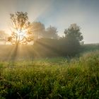 Sonnenstrahlen am Maimorgen