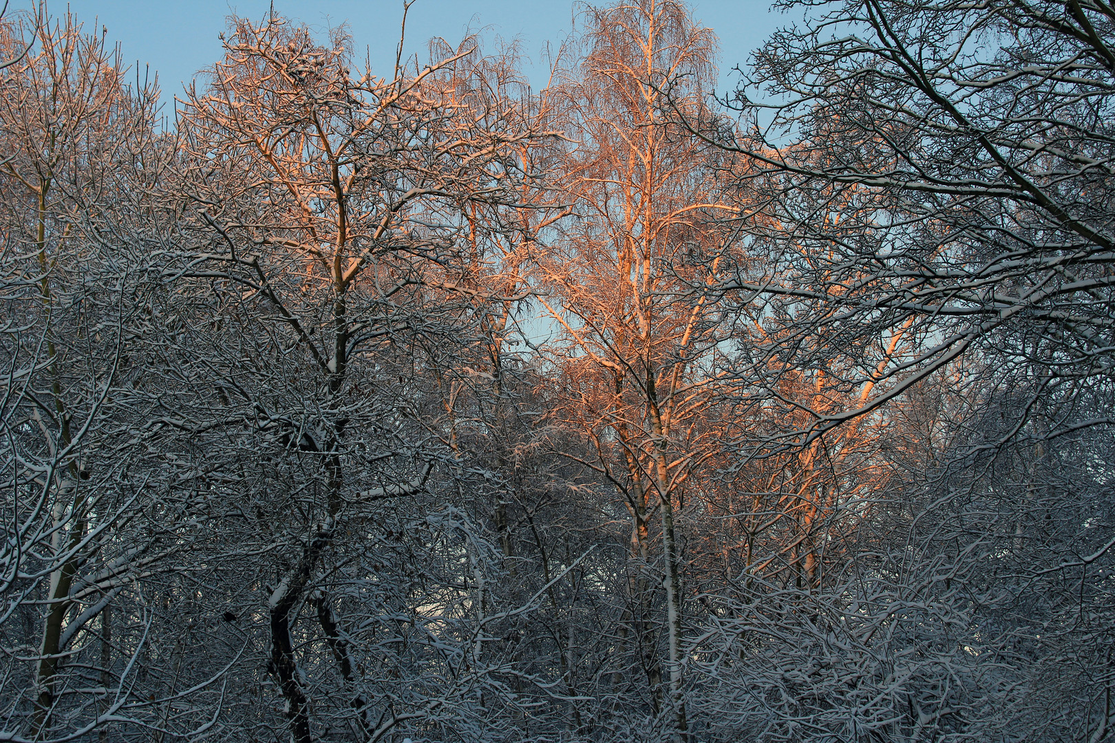 Sonnenstrahlen am Morgen