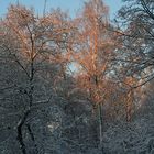 Sonnenstrahlen am Morgen