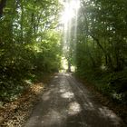 Sonnenstrahlen am Nachmittag