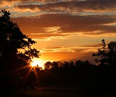 Sonnenstrahlen an der Elbe