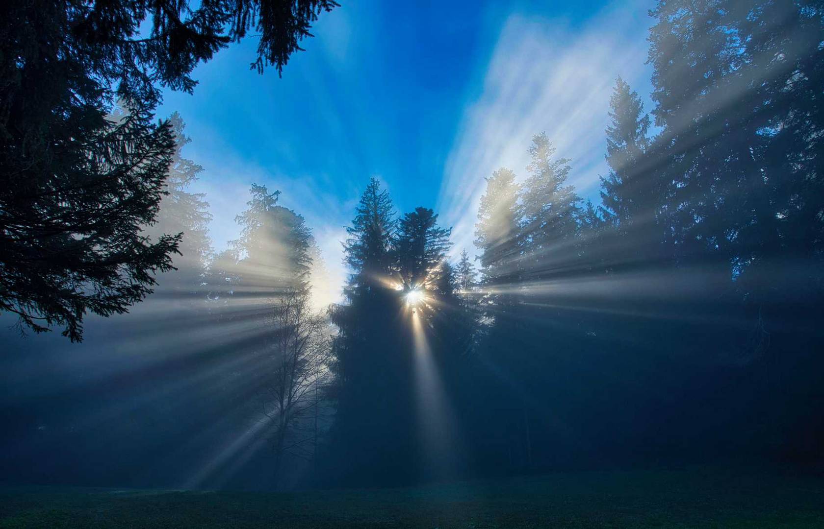 Sonnenstrahlen an der Hochnebelgrenze