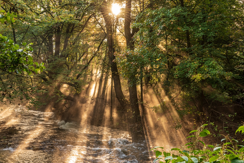 Sonnenstrahlen an der Wupper