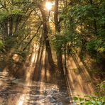 Sonnenstrahlen an der Wupper