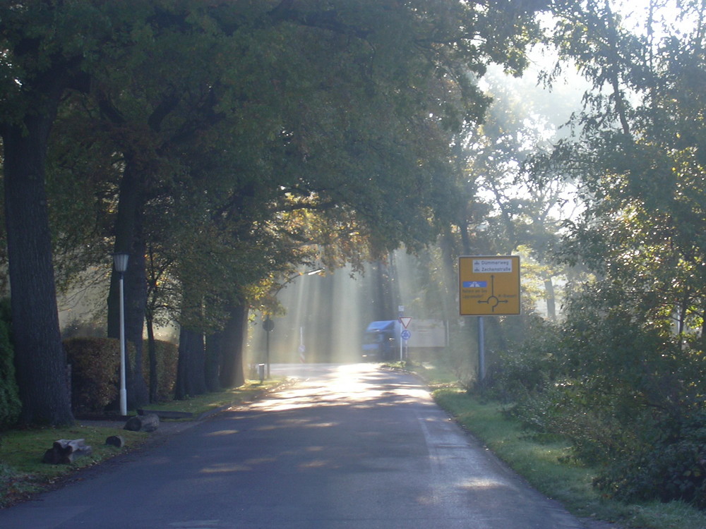 Sonnenstrahlen an einem kühlen Morgen