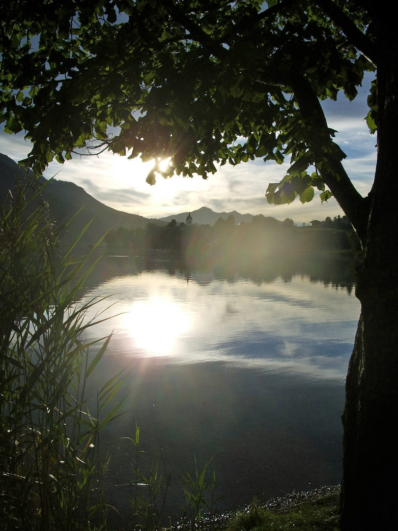 Sonnenstrahlen auf dem See