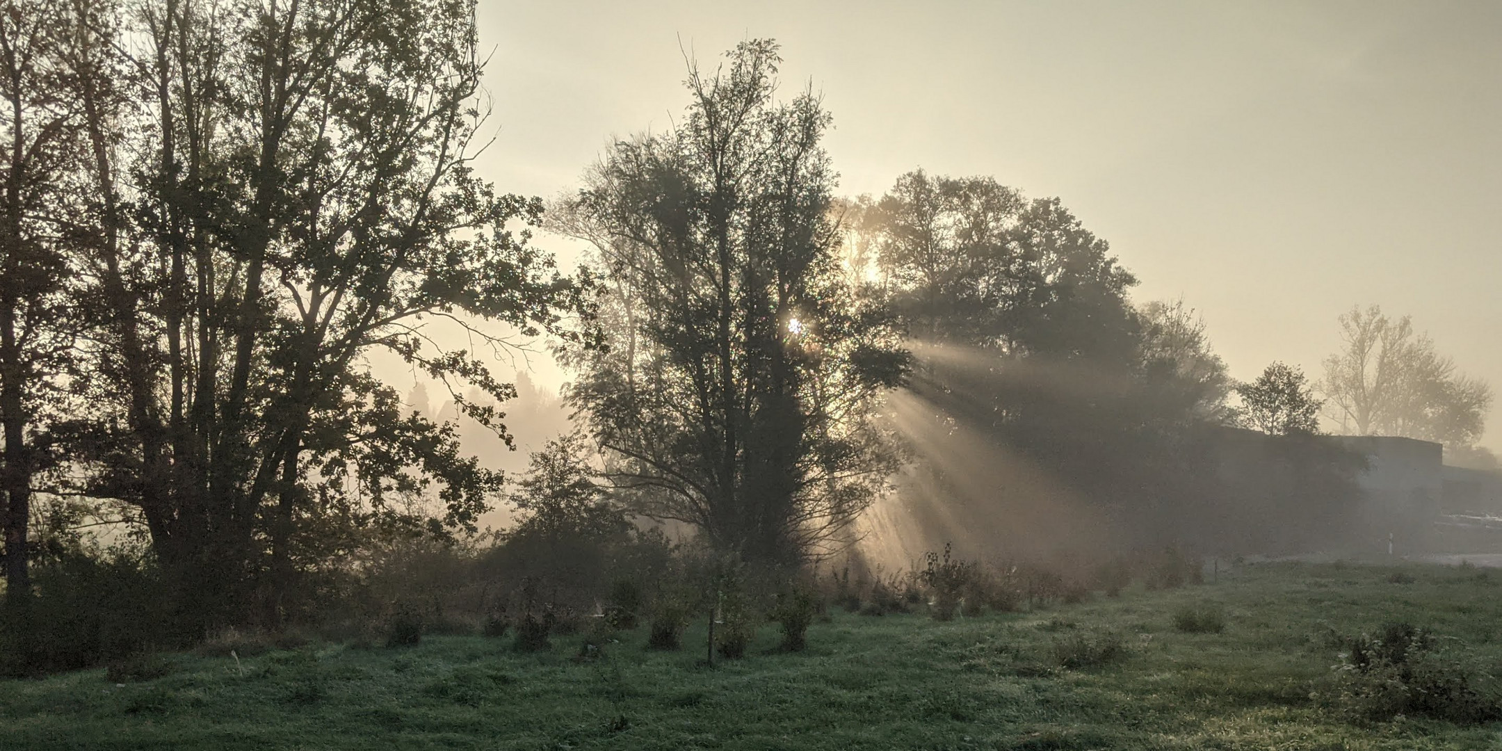 Sonnenstrahlen 