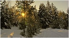 Sonnenstrahlen!