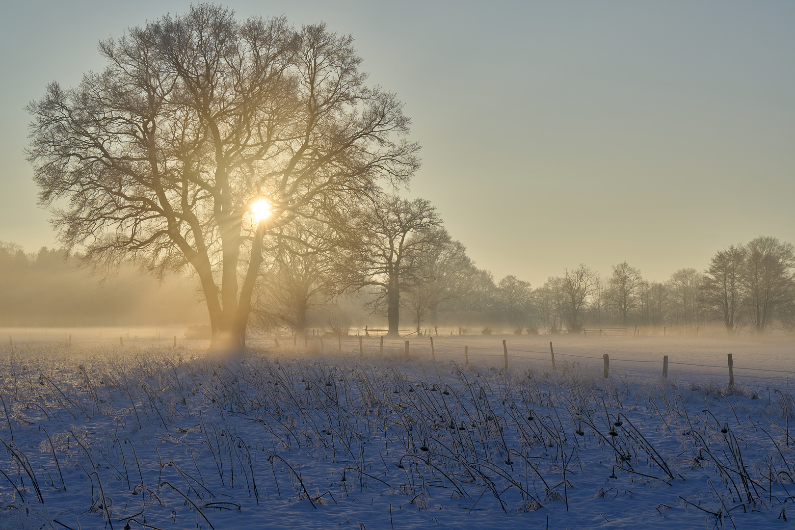 Sonnenstrahlen