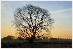 Sonnenstrahlen