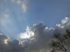 Sonnenstrahlen, Baum und Wolken