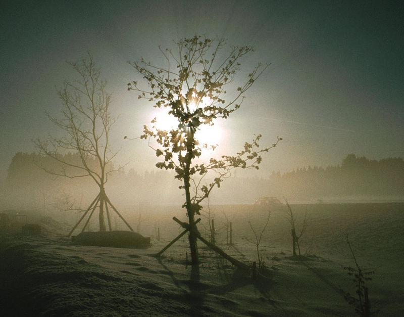 Sonnenstrahlen, benebelt.