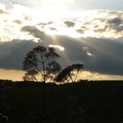 Sonnenstrahlen brechen durch die Wolken