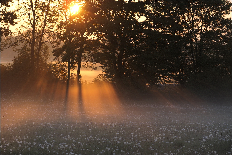 Sonnenstrahlen