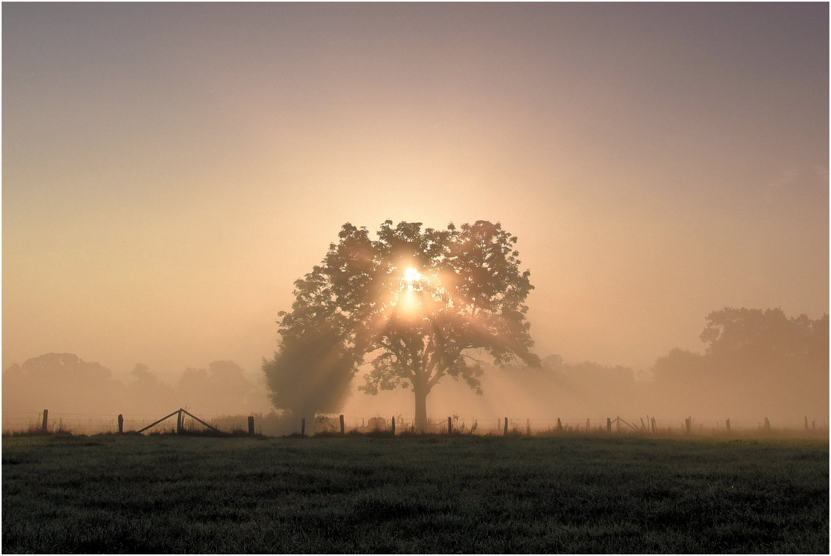 Sonnenstrahlen