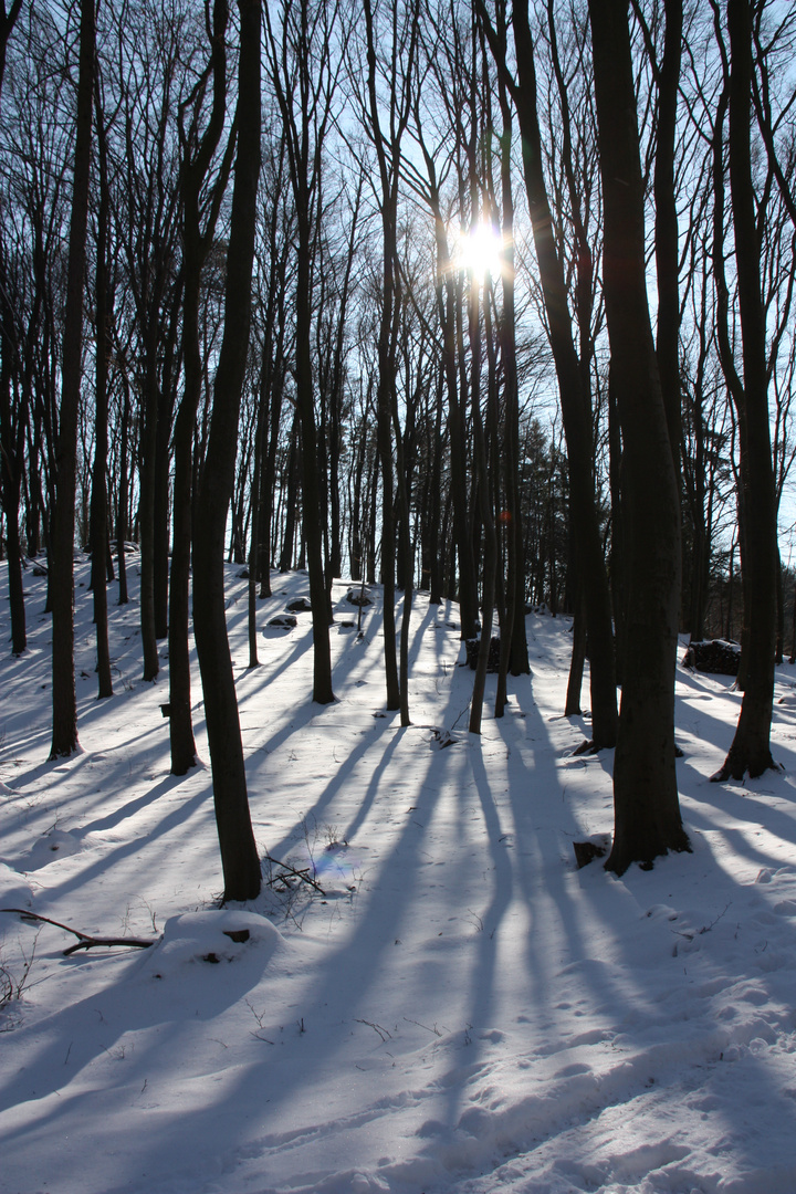 Sonnenstrahlen