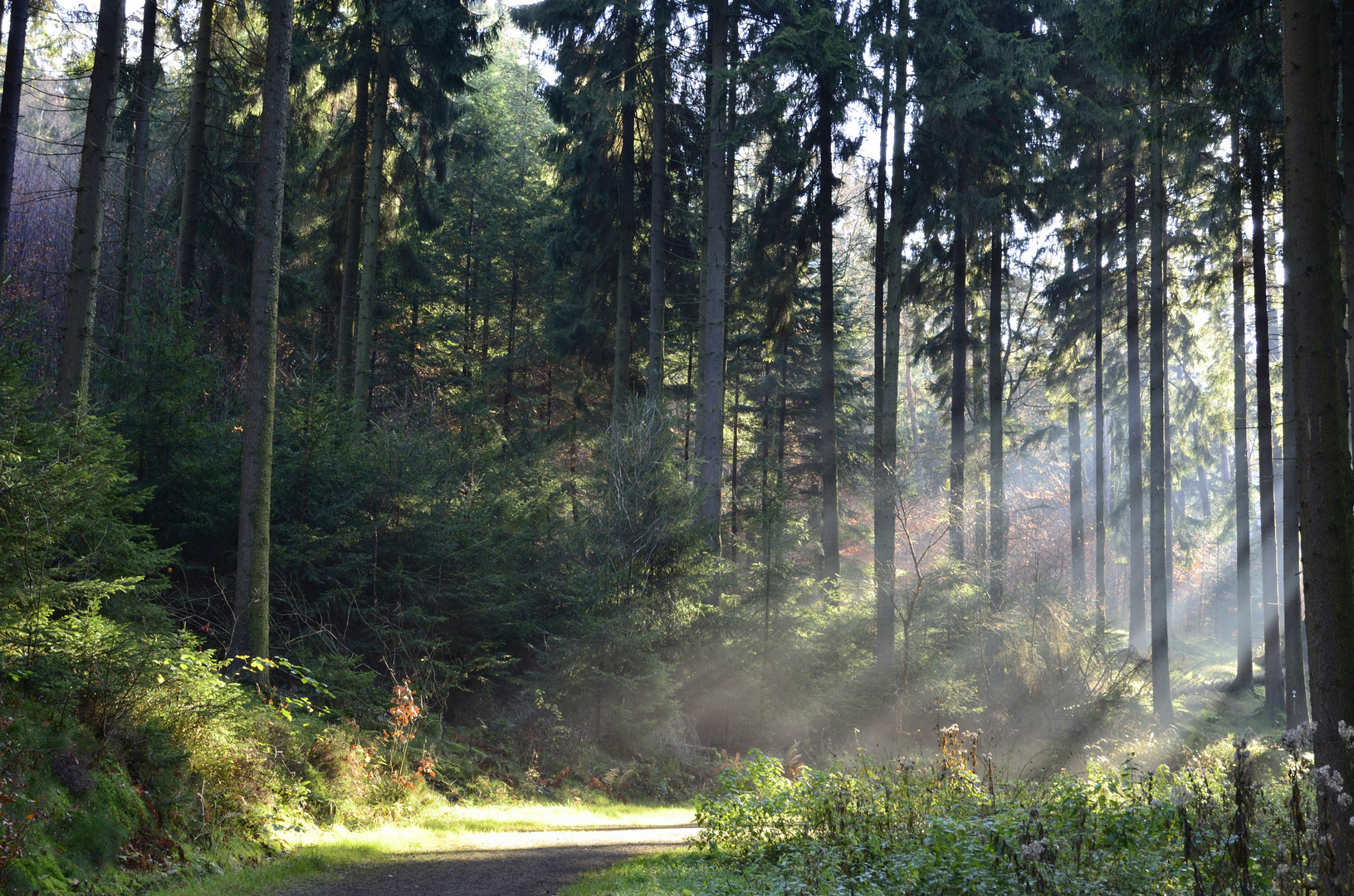 Sonnenstrahlen