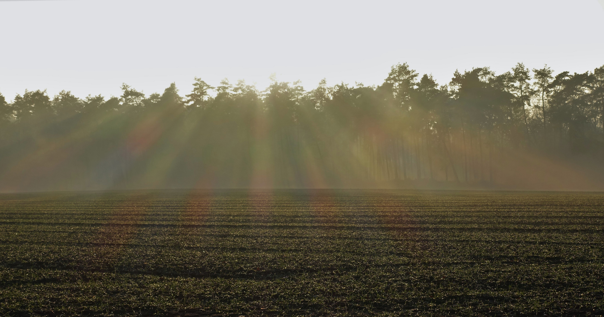 Sonnenstrahlen.