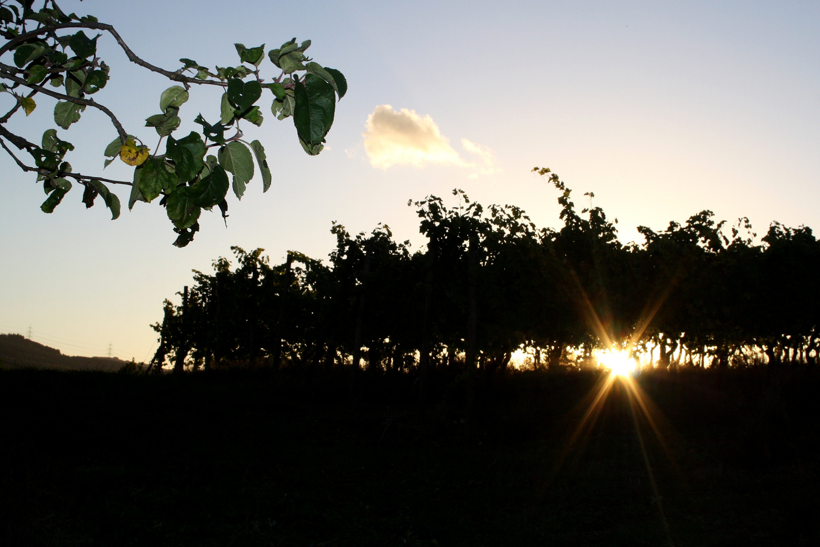 Sonnenstrahlen