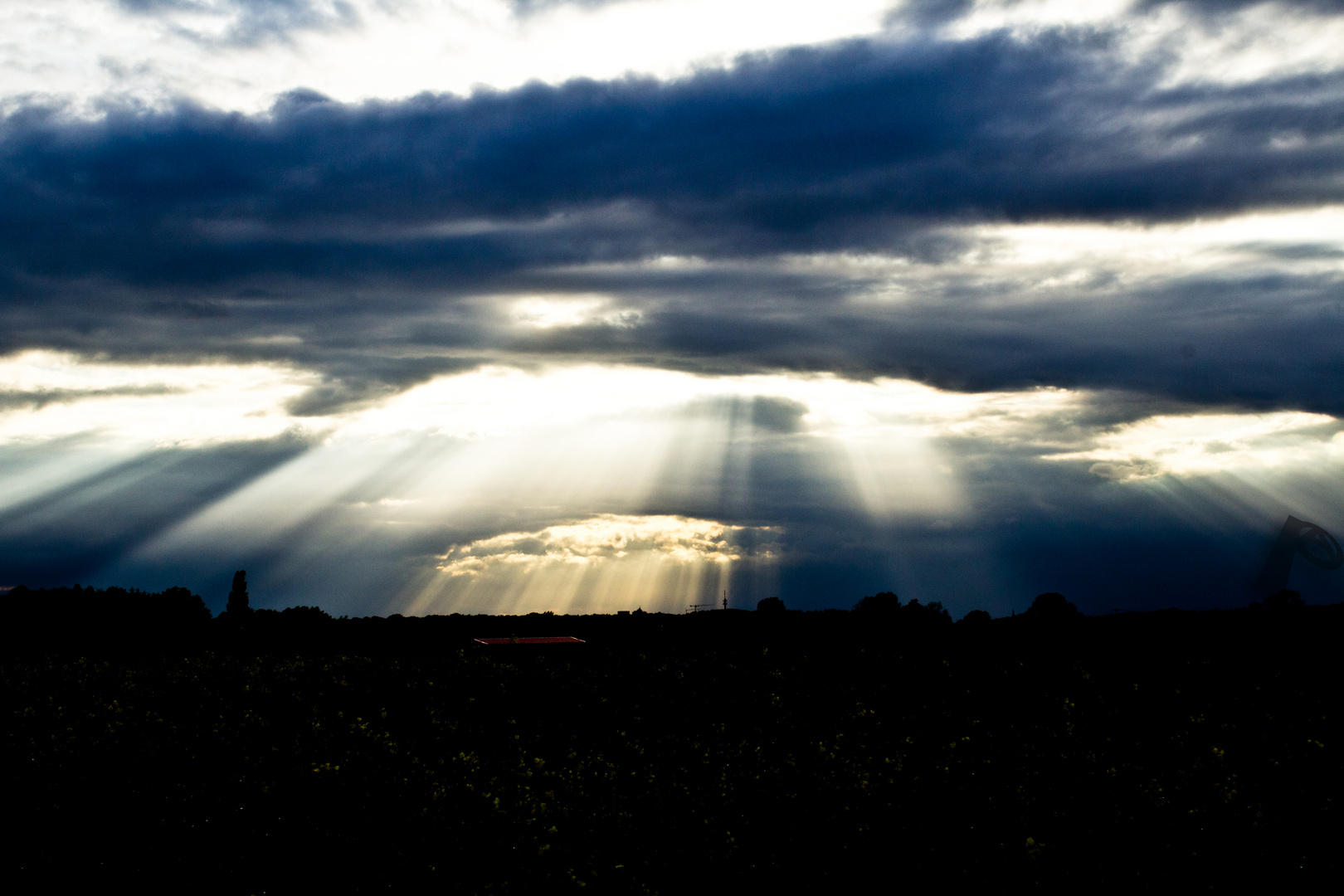 Sonnenstrahlen