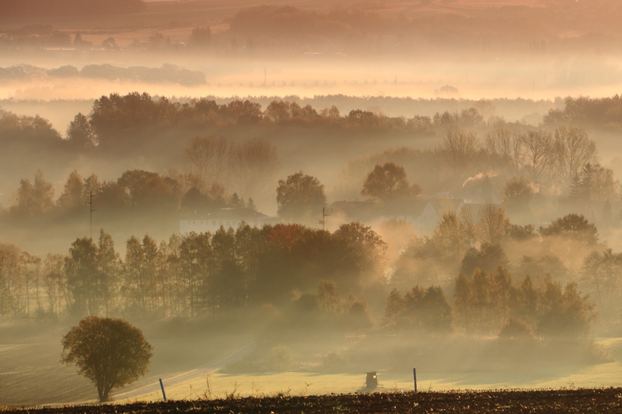 Sonnenstrahlen durch den Nebelschleier