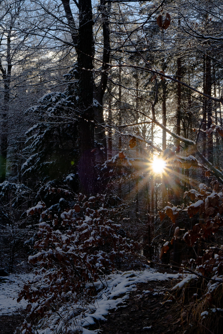 Sonnenstrahlen durch den Schnee