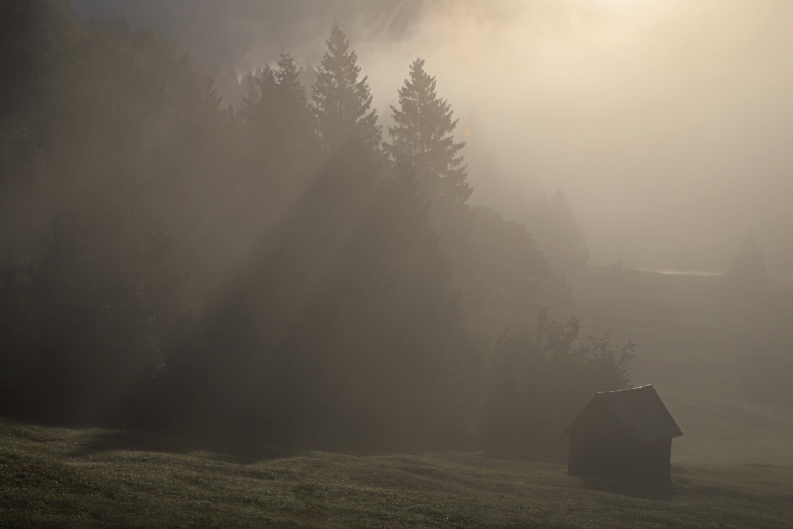 Sonnenstrahlen durchbrechen den Nebel