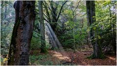 Sonnenstrahlen
