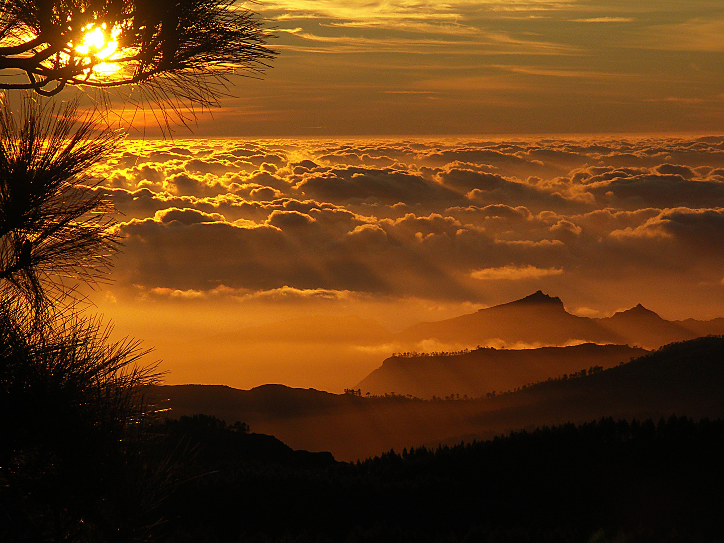 Sonnenstrahlen