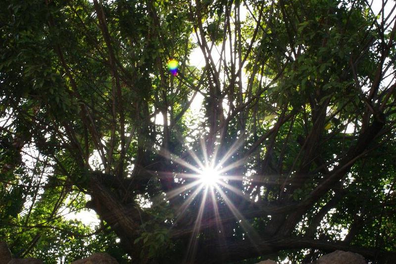 Sonnenstrahlen eingefangen, juhu!