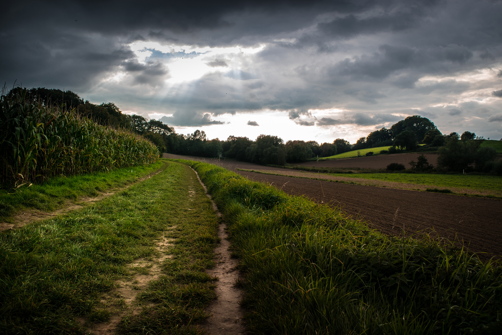 Sonnenstrahlen finden einen Weg I