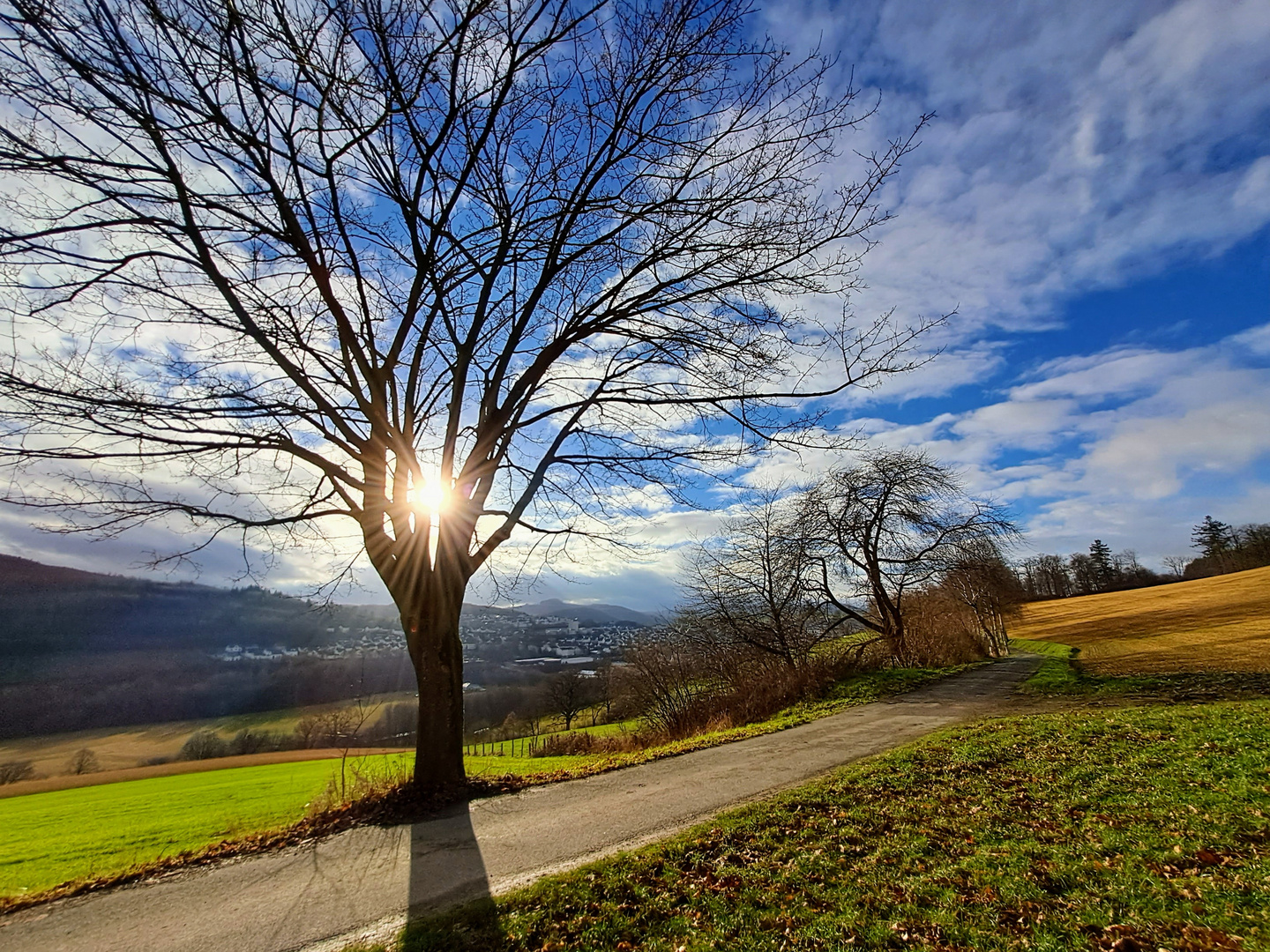 Sonnenstrahlen finden ihren Weg