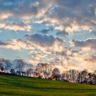 Sonnenstrahlen hinter Rapsfeld