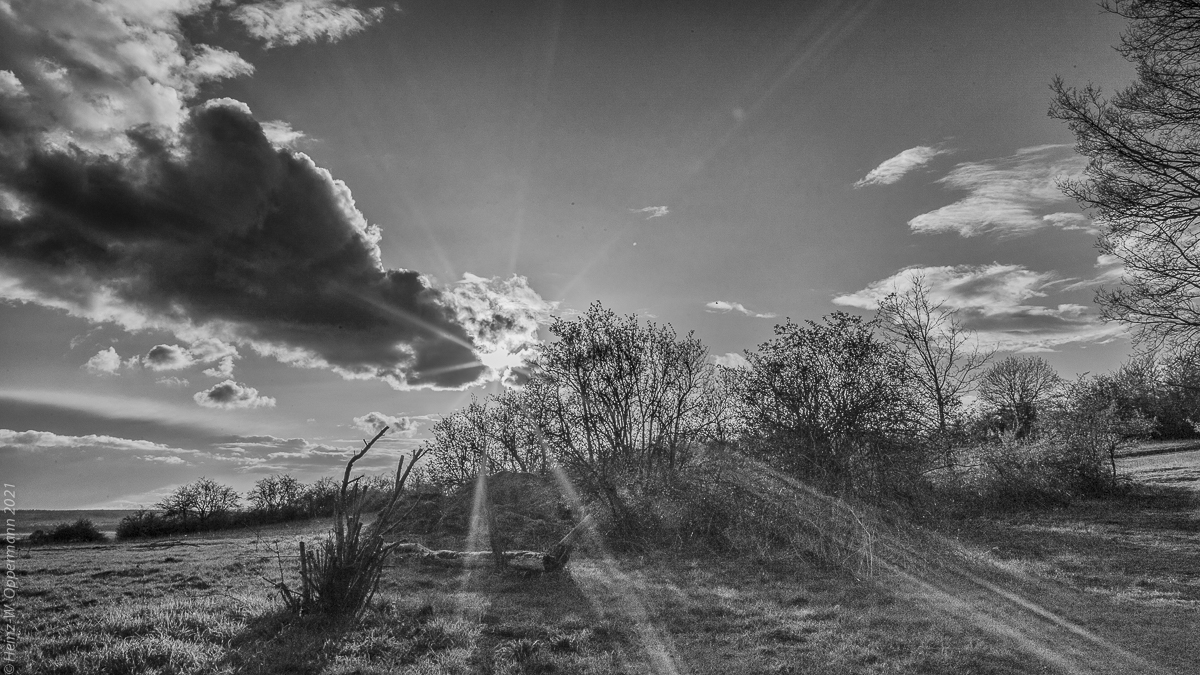 Sonnenstrahlen im Frühling