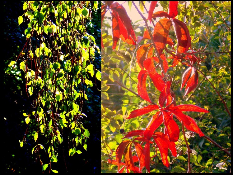 Sonnenstrahlen im Frühling und im Herbst