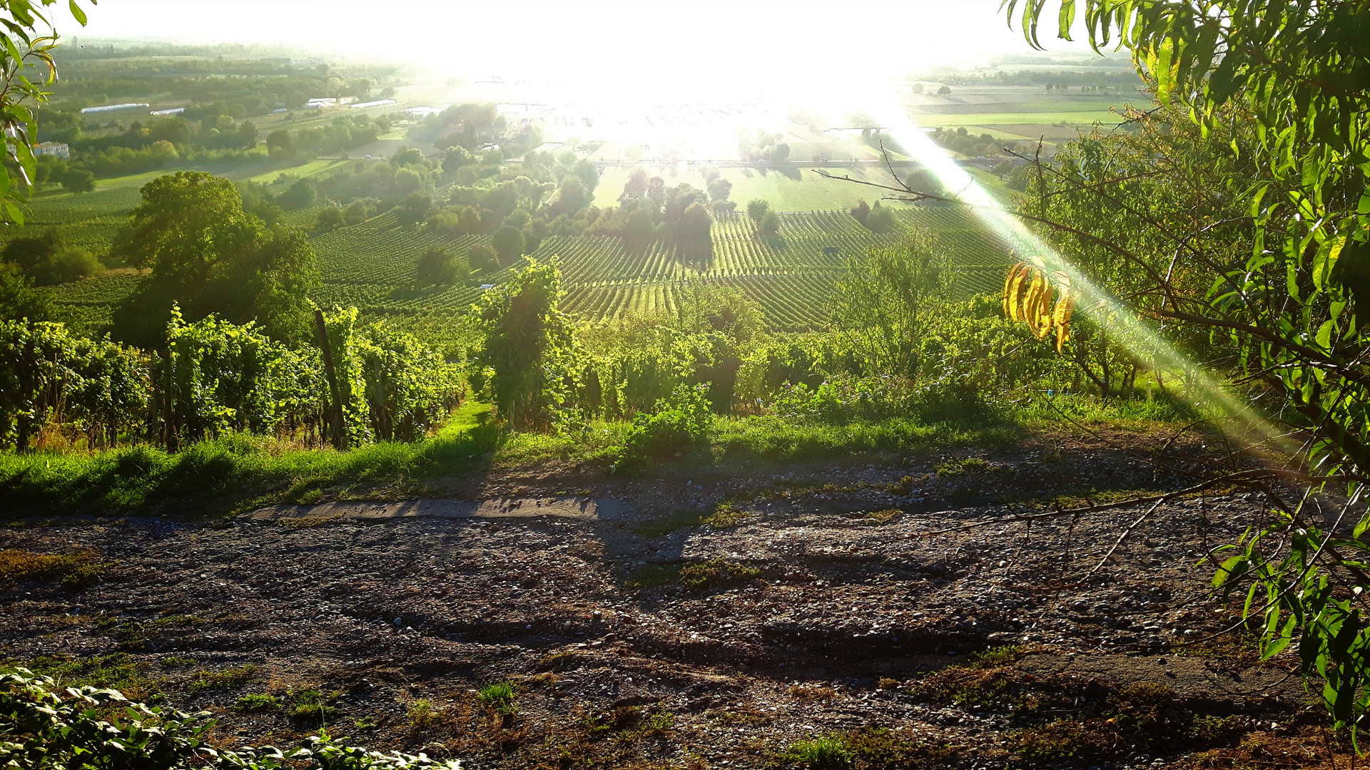 Sonnenstrahlen im Herbst