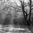 Sonnenstrahlen im Herbst